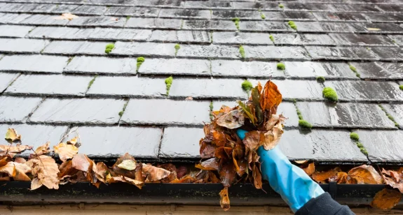 Hand som rensar löv från takrännan på ett villatak med betongpannor. Takvård.